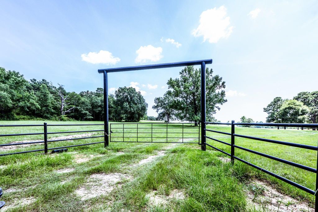 Black metal pipe gate and fence opening to a green pasture surrounded by trees under a blue sky